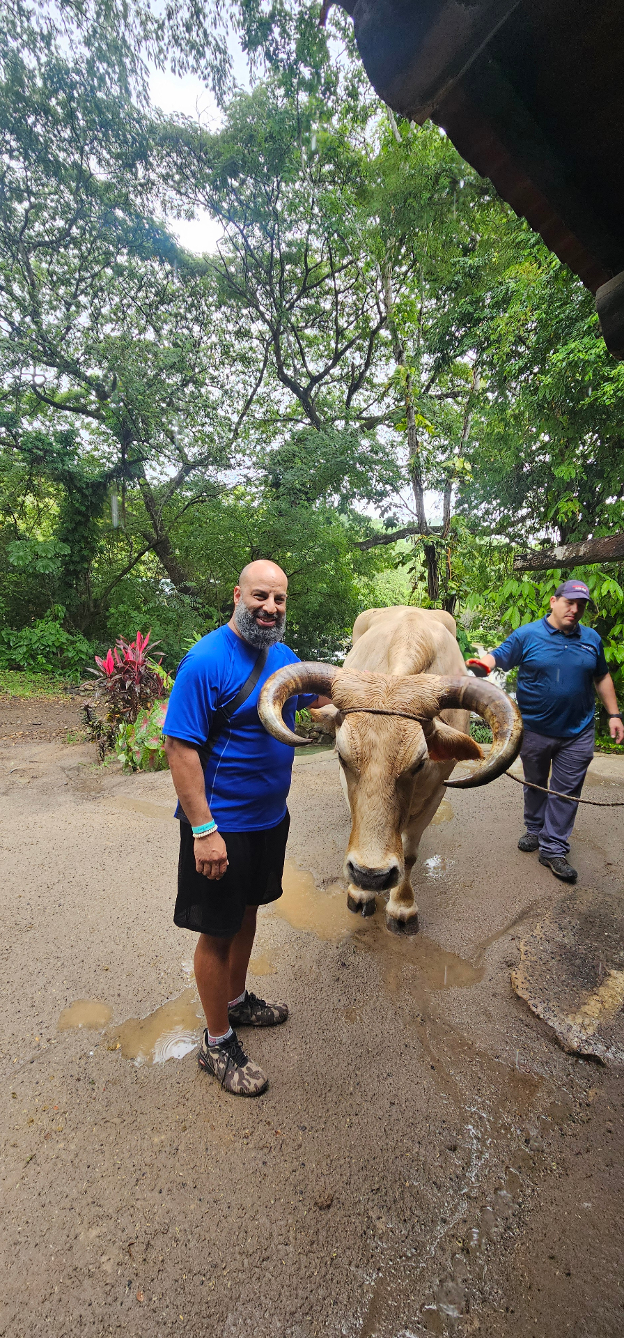 Vandara oxcart traditional tour